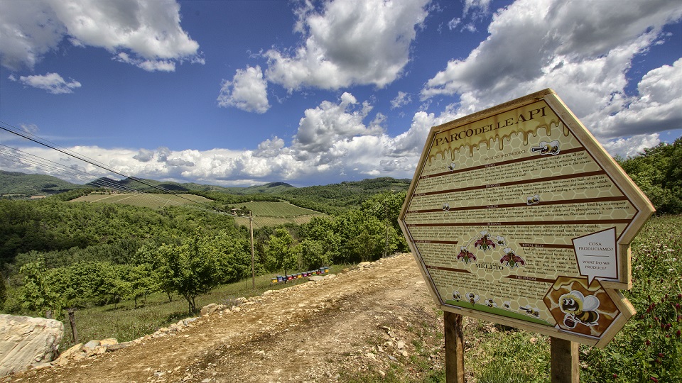 IDROMELE: LA BEVANDA DEGLI DÈI DI CASTELLO DI MELETO